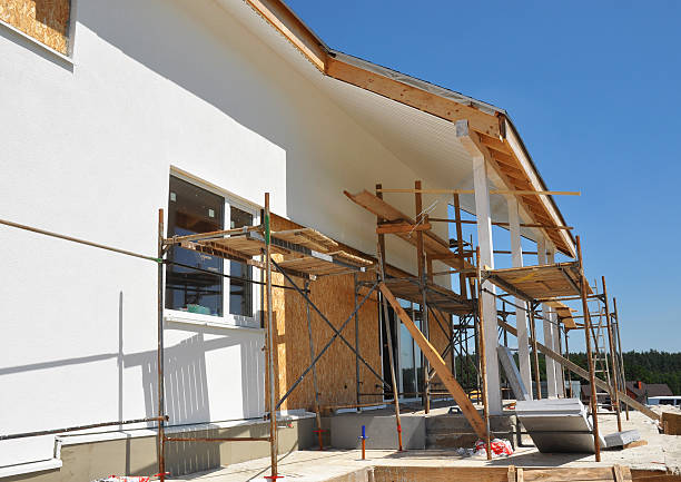 Best Attic Mold Removal  in San Antonio Heights, CA